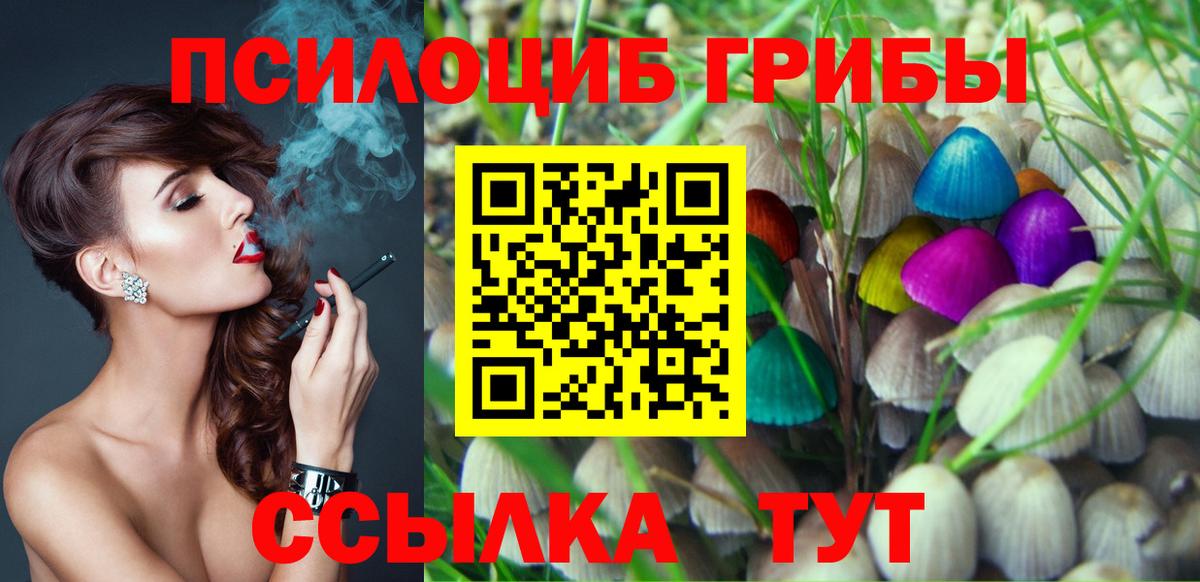 Псилоцибиновые грибы GOLDEN TEACHER Котлас