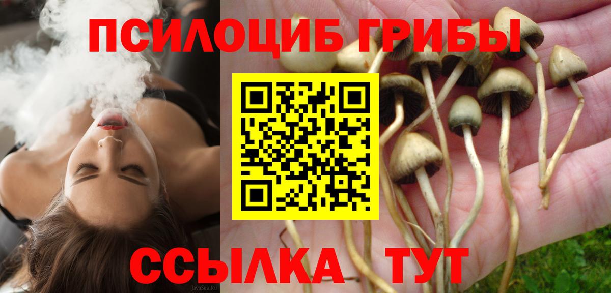 Псилоцибиновые грибы Psilocybe  Вход с VPN  Галлюциногенные грибы Magic Shrooms  Котлас 